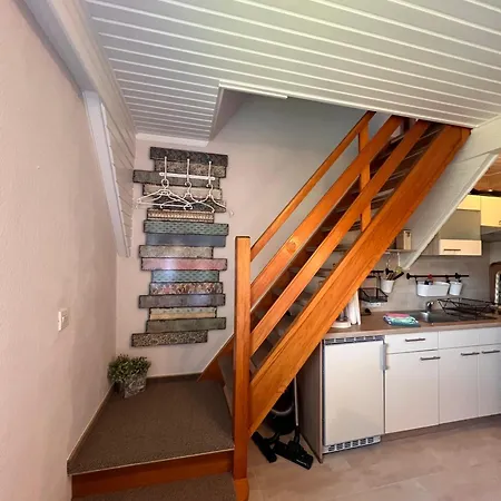 Moewenkiek